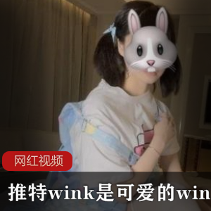 某推wink是可爱的wink 最新作品两部