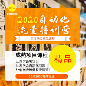 2020正盟集团自动化流量特训营！含工具