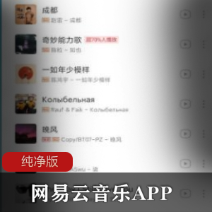 网易云音乐APP纯净版