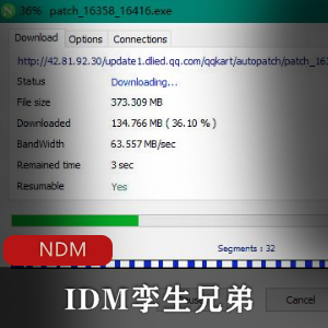 IDM孪生兄弟简称NDM