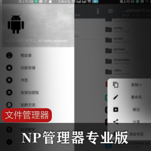 NP管理器专业版