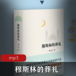 穆斯林的葬礼播讲兆林_有声小说