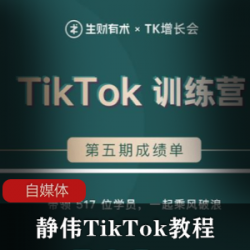 TikTok短视频玩法