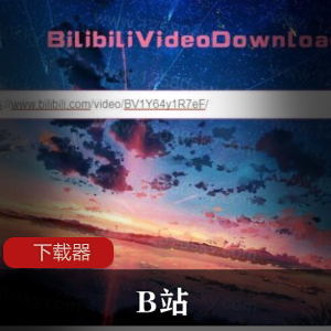 BilibiliVideoDownload下载器