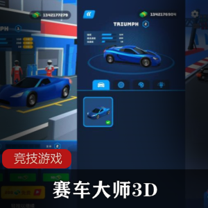 赛车大师3D竞技游戏