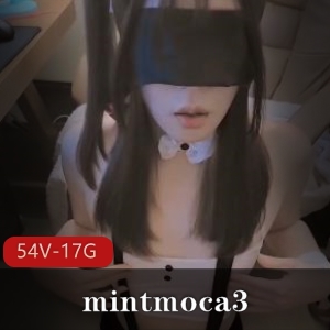 TS美人-mintmoca3大雕涂油合集，54个视频17GB，女孩物件R前列腺隆球手术下载