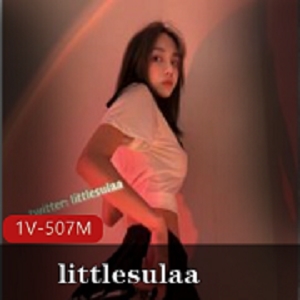 littlesulaa徐特立颜值身材一线系列反差婊玩法百度云下载507MB